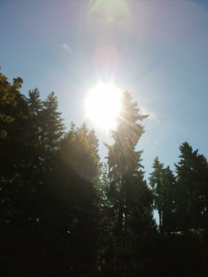 Creepy eclipse photo