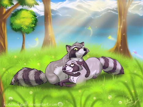 Raccoon love