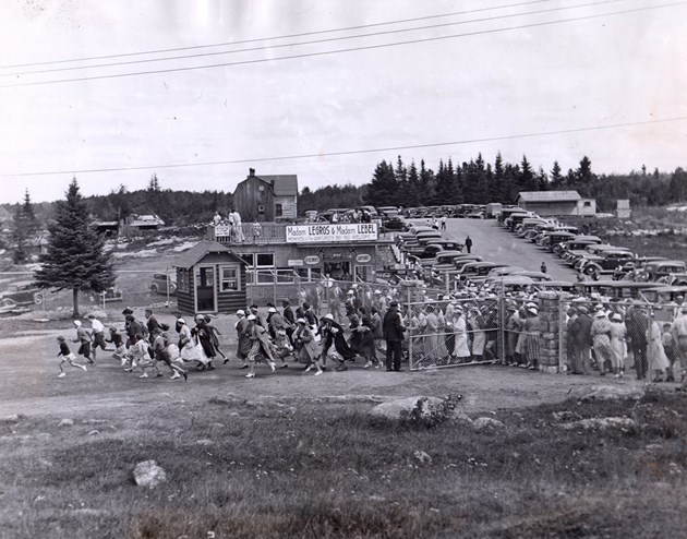 Tourists rushing in to view the quintuplets