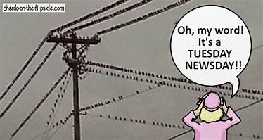 tuesday newsday cartoon