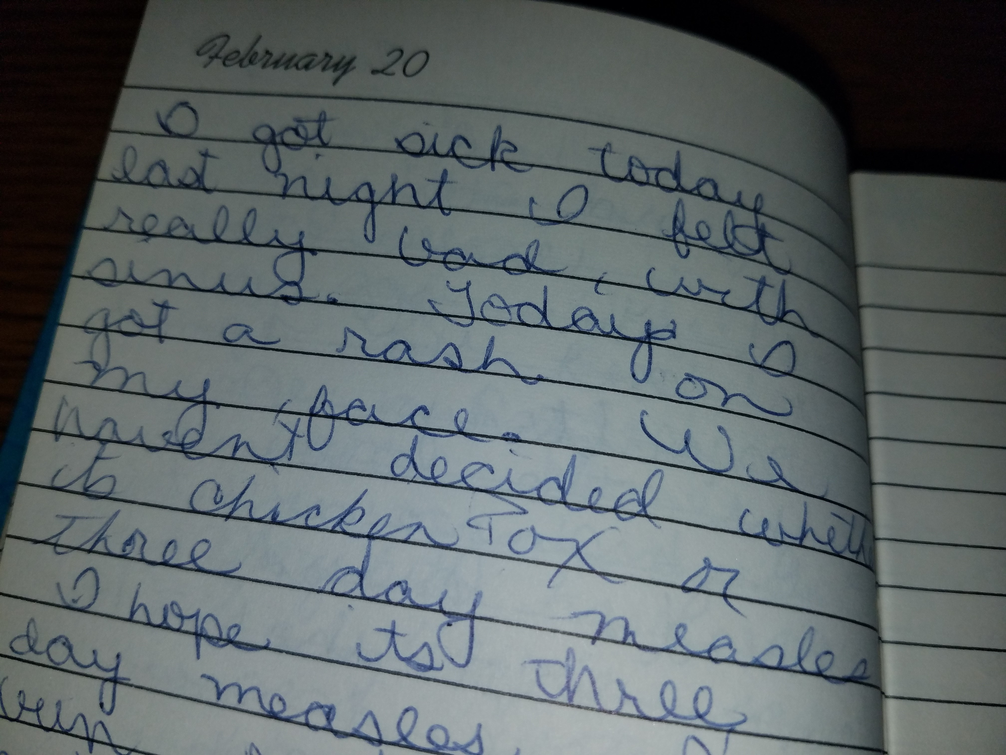 Barb's February 20 1974 Diary entry