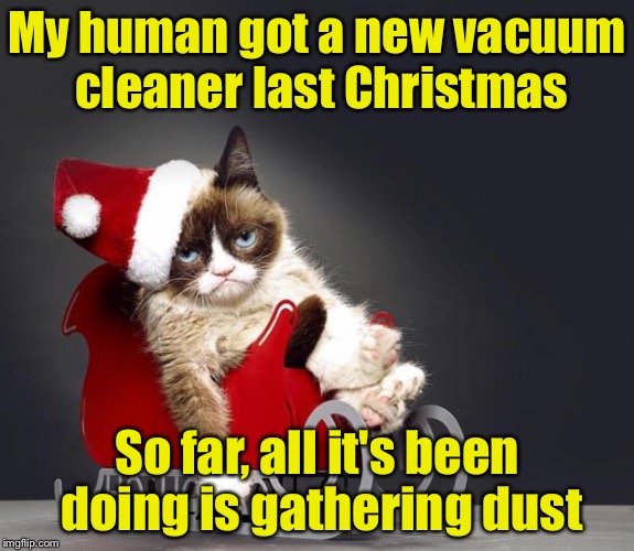 Grumpy cat vacuum