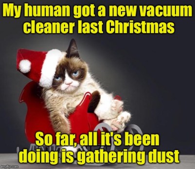 Grumpy cat vacuum