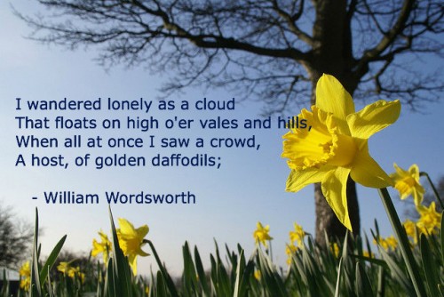 wordsworth-lonely-daffodils2-500x334