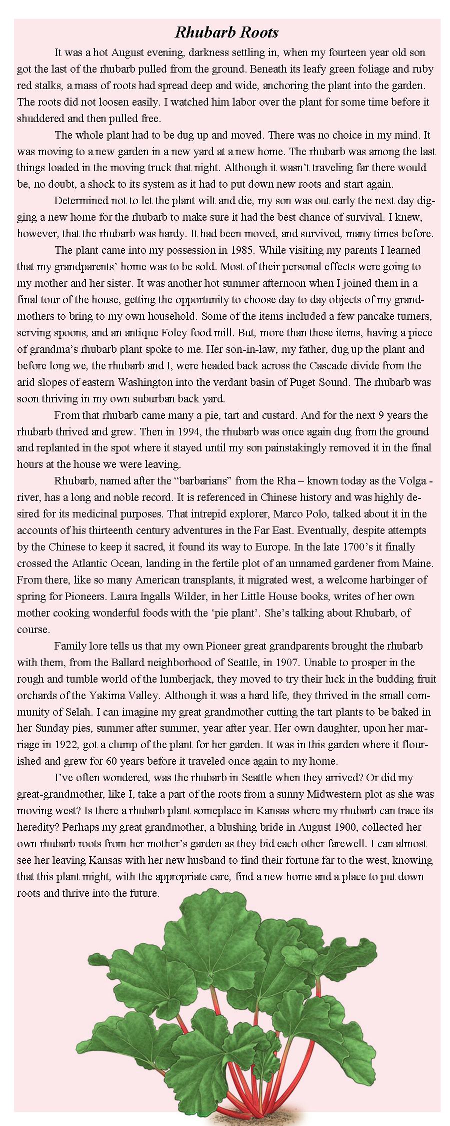 Rhubarb Roots